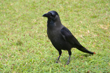 Similar image 1577858