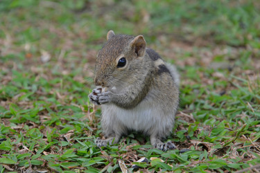 Similar image 1577862