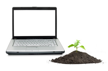 Similar image 1577864