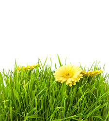 Similar image 1577936