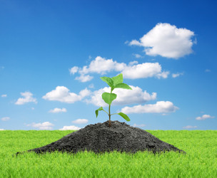 Similar image 1577948