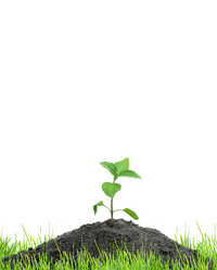 Similar image 1577958