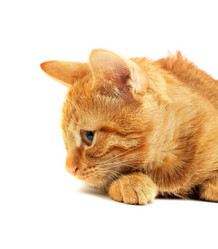 Similar image 1577973