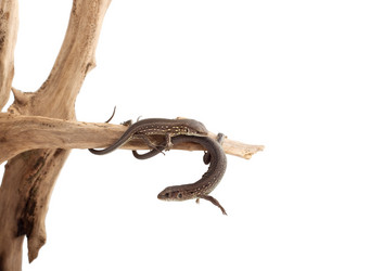 Similar image 1577974