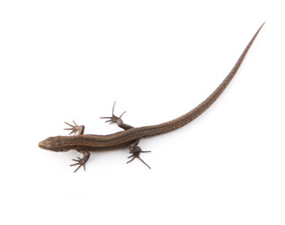 Similar image 1577978