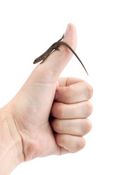 Similar image 1577988