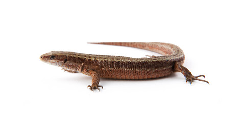 Similar image 1577991