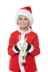 Similar image 1577995