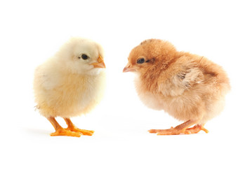 Similar image 1578004