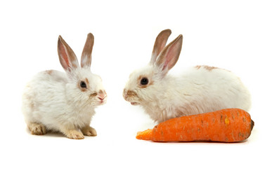 Similar image 1578021