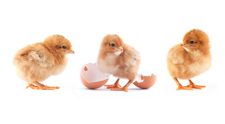 Similar image 1578022