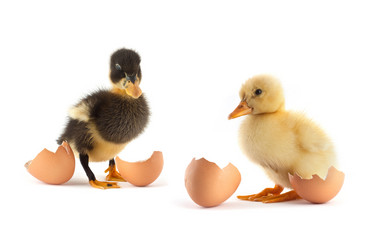 Similar image 1578029