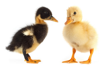 Similar image 1578037