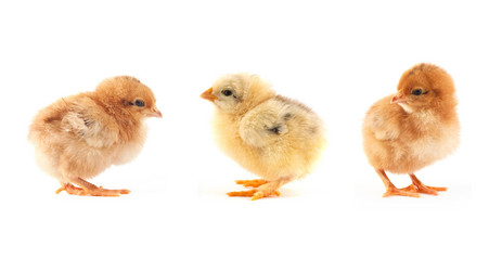 Similar image 1578056