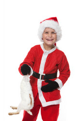 Similar image 1578065