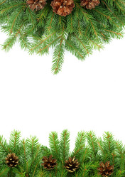 Similar image 1578072