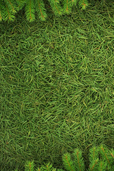 Similar image 1578074