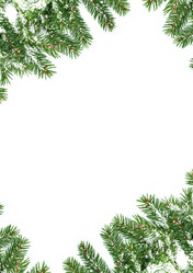 Similar image 1578077