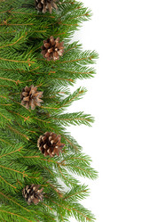 Similar image 1578083