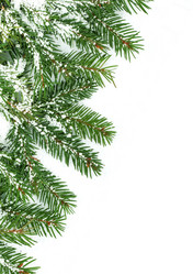 Similar image 1578086