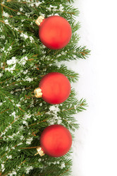 Similar image 1578088