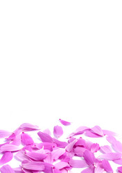 Similar image 1578153