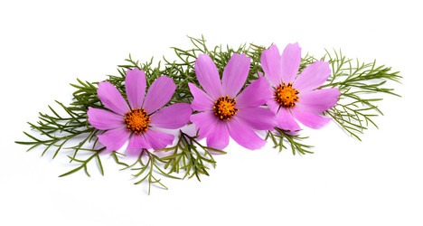 Similar image 1578155