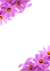 Similar image 1578156