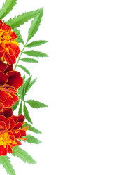 Similar image 1578157