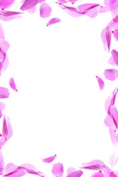 Similar image 1578158