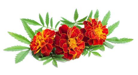 Similar image 1578162