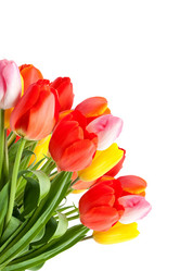 Similar image 1578167