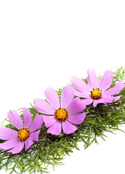 Similar image 1578168