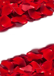 Similar image 1578183