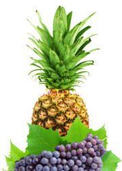 Similar image 1578218