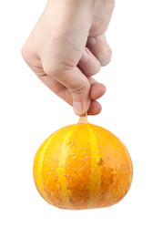 Similar image 1578301