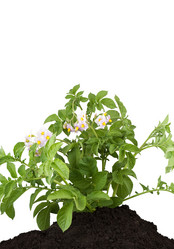 Similar image 1578300