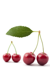 Similar image 1578312