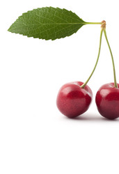 Similar image 1578318