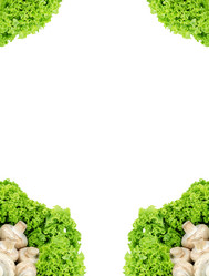 Similar image 1578338