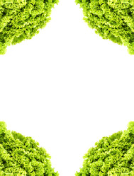 Similar image 1578351