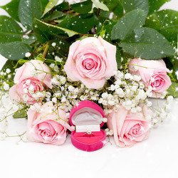 Similar image 1578368