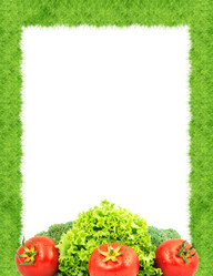 Similar image 1578376