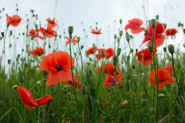 Similar image 1578386