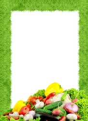 Similar image 1578396