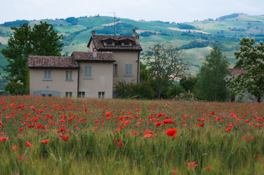 Similar image 1578402