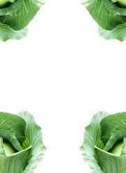 Similar image 1578425