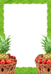 Similar image 1578439