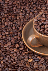 Similar image 1578451