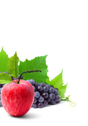 Similar image 1578459